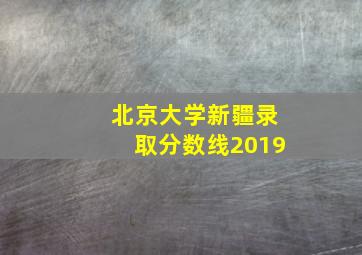 北京大学新疆录取分数线2019