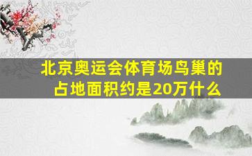 北京奥运会体育场鸟巢的占地面积约是20万什么