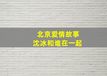 北京爱情故事沈冰和谁在一起