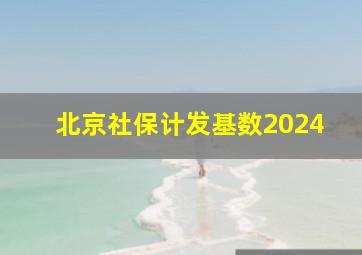 北京社保计发基数2024