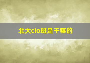 北大cio班是干嘛的