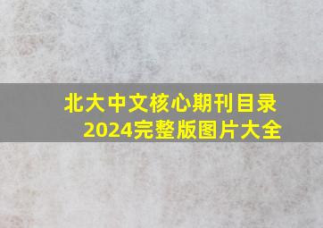 北大中文核心期刊目录2024完整版图片大全