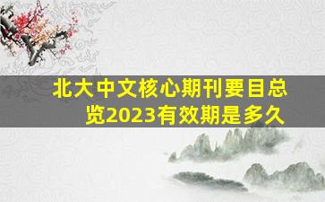 北大中文核心期刊要目总览2023有效期是多久