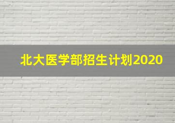 北大医学部招生计划2020