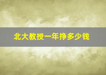 北大教授一年挣多少钱