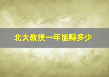 北大教授一年能赚多少