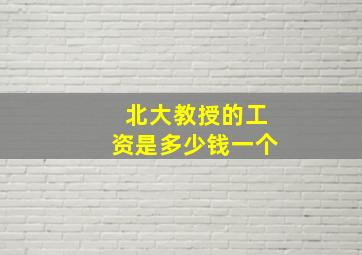 北大教授的工资是多少钱一个