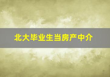 北大毕业生当房产中介