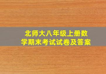 北师大八年级上册数学期末考试试卷及答案