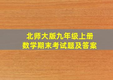 北师大版九年级上册数学期末考试题及答案