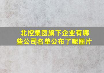 北控集团旗下企业有哪些公司名单公布了呢图片