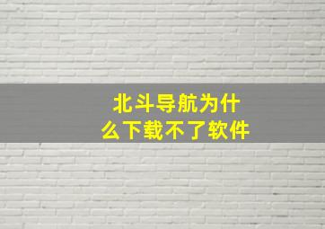 北斗导航为什么下载不了软件