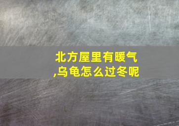 北方屋里有暖气,乌龟怎么过冬呢