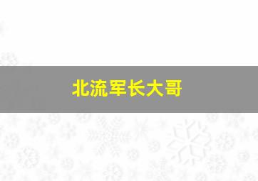 北流军长大哥