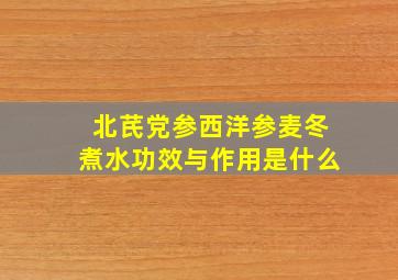 北芪党参西洋参麦冬煮水功效与作用是什么