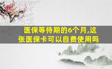 医保等待期的6个月,这张医保卡可以自费使用吗