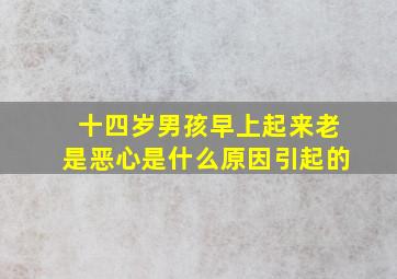 十四岁男孩早上起来老是恶心是什么原因引起的