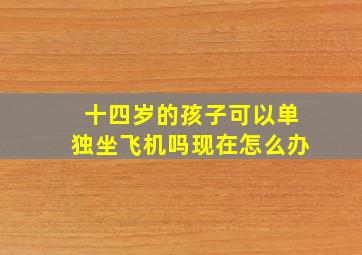 十四岁的孩子可以单独坐飞机吗现在怎么办