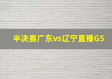 半决赛广东vs辽宁直播G5