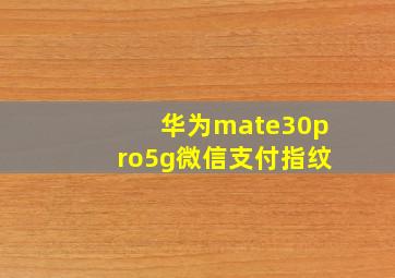 华为mate30pro5g微信支付指纹