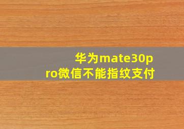 华为mate30pro微信不能指纹支付