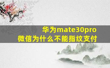 华为mate30pro微信为什么不能指纹支付