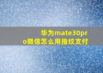 华为mate30pro微信怎么用指纹支付