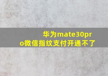 华为mate30pro微信指纹支付开通不了