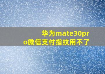 华为mate30pro微信支付指纹用不了