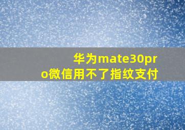 华为mate30pro微信用不了指纹支付