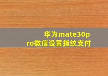 华为mate30pro微信设置指纹支付