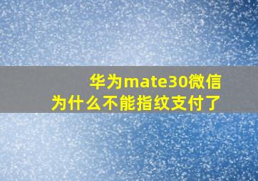 华为mate30微信为什么不能指纹支付了