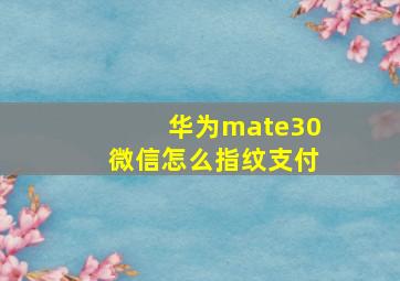 华为mate30微信怎么指纹支付