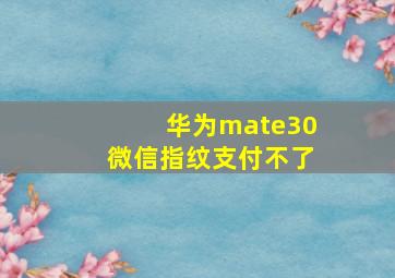 华为mate30微信指纹支付不了