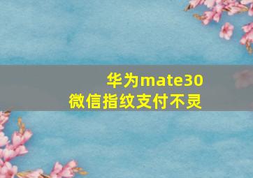 华为mate30微信指纹支付不灵