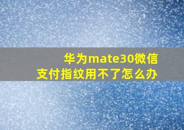 华为mate30微信支付指纹用不了怎么办