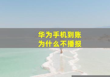 华为手机到账为什么不播报