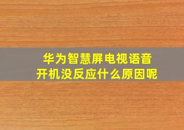 华为智慧屏电视语音开机没反应什么原因呢