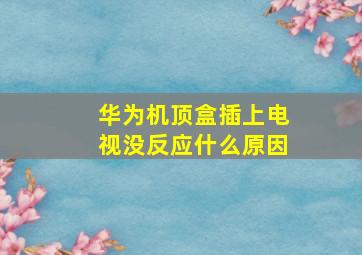 华为机顶盒插上电视没反应什么原因