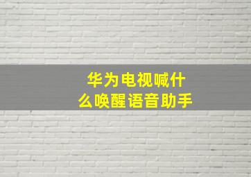 华为电视喊什么唤醒语音助手