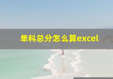 单科总分怎么算excel