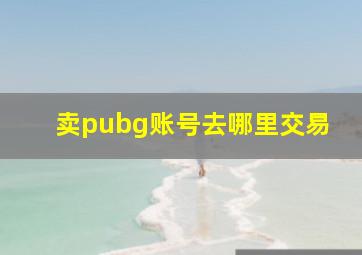 卖pubg账号去哪里交易