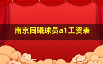 南京同曦球员a1工资表