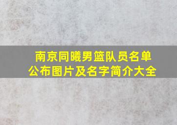 南京同曦男篮队员名单公布图片及名字简介大全