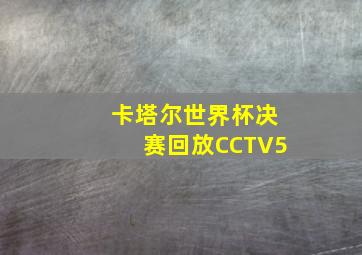 卡塔尔世界杯决赛回放CCTV5