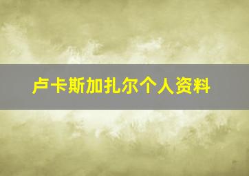 卢卡斯加扎尔个人资料