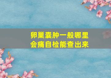 卵巢囊肿一般哪里会痛自检能查出来