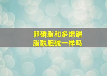 卵磷脂和多烯磷脂酰胆碱一样吗