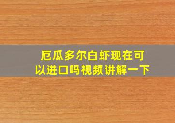 厄瓜多尔白虾现在可以进口吗视频讲解一下