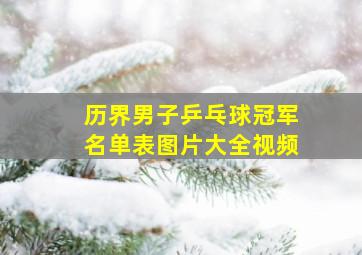 历界男子乒乓球冠军名单表图片大全视频